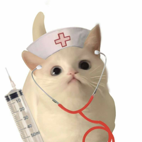 来次点东西8