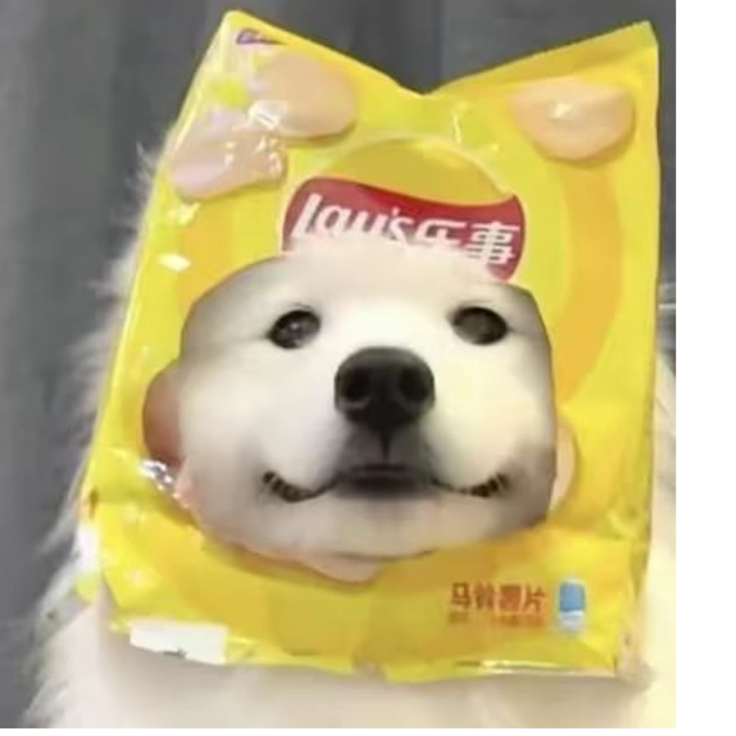 三路失丧