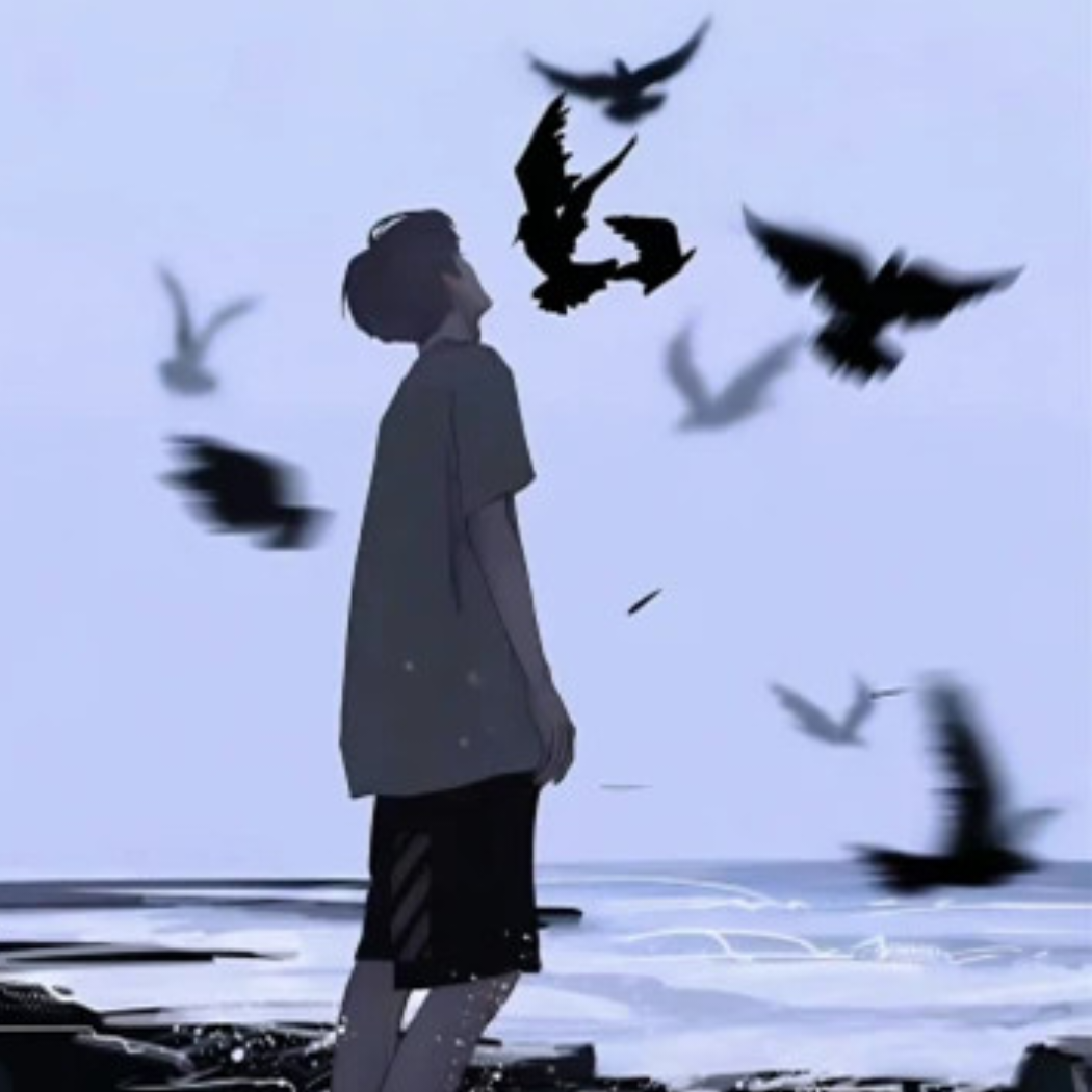 扬帆起航