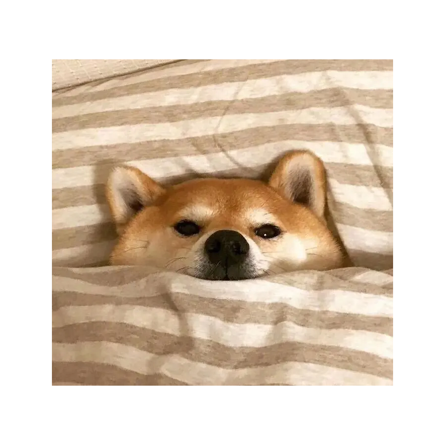 (￣ー￣)