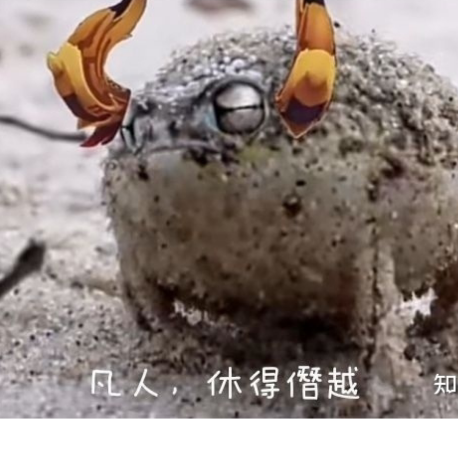 白夜的星灵