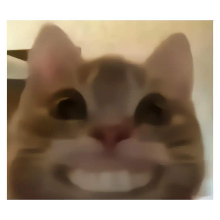 小c