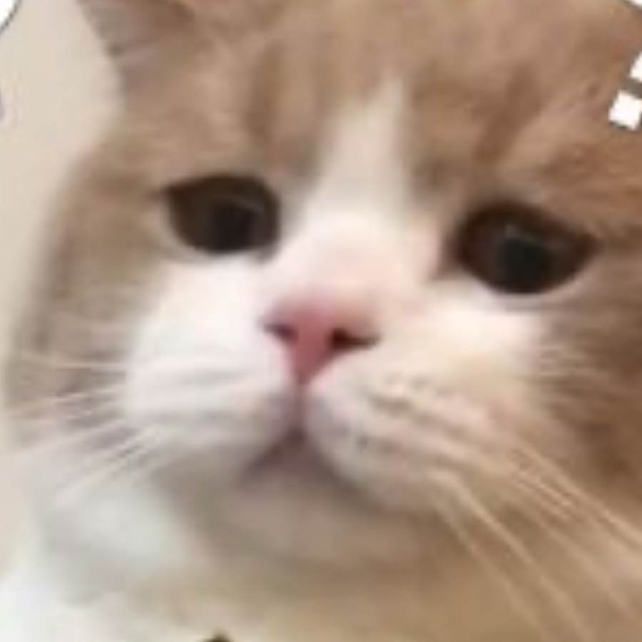 小九