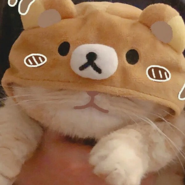 小猫戴帽  浅浅微笑