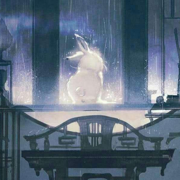 兔