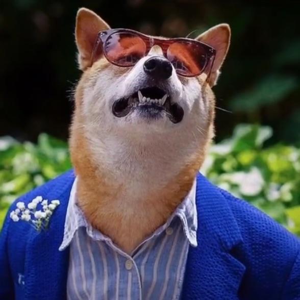 穆克拉的大表哥