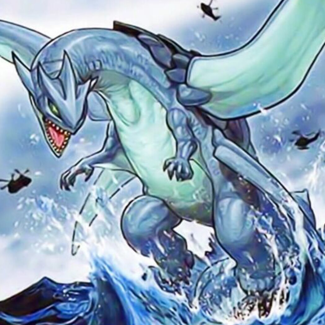 海龟大王