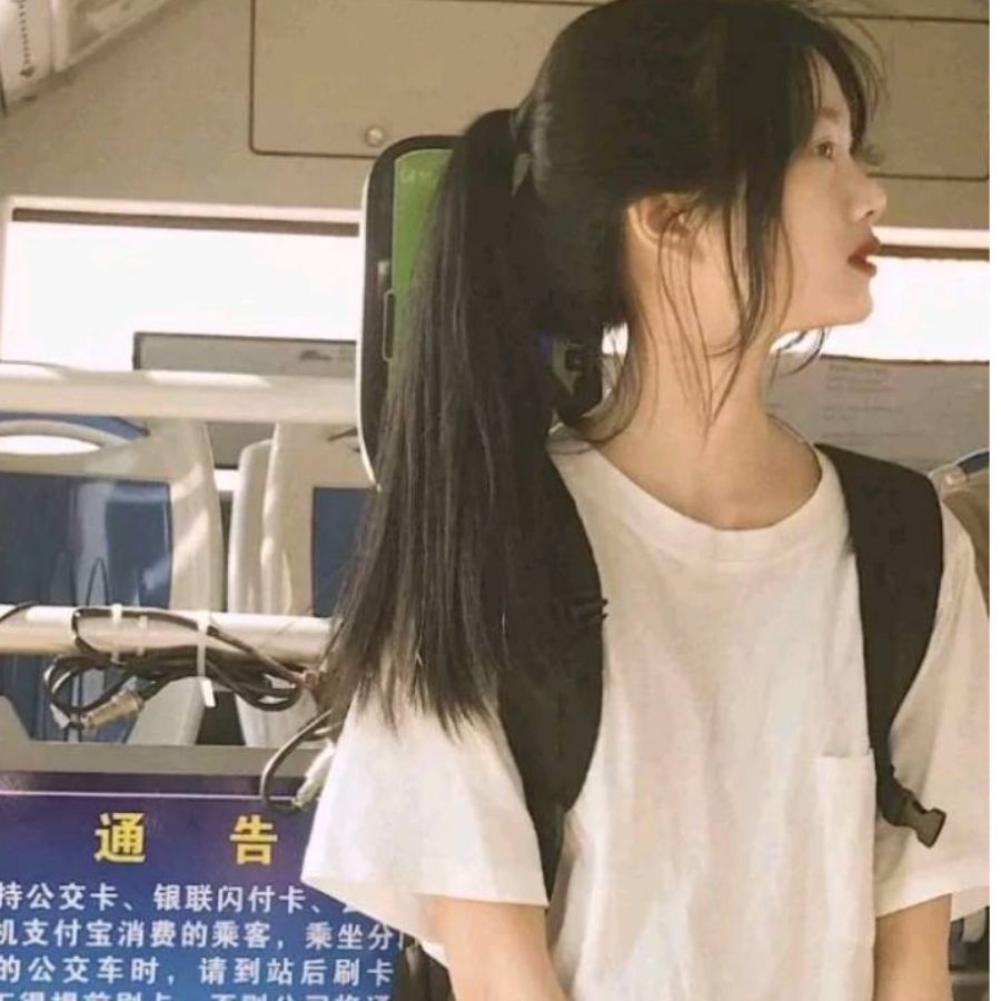 狸美人