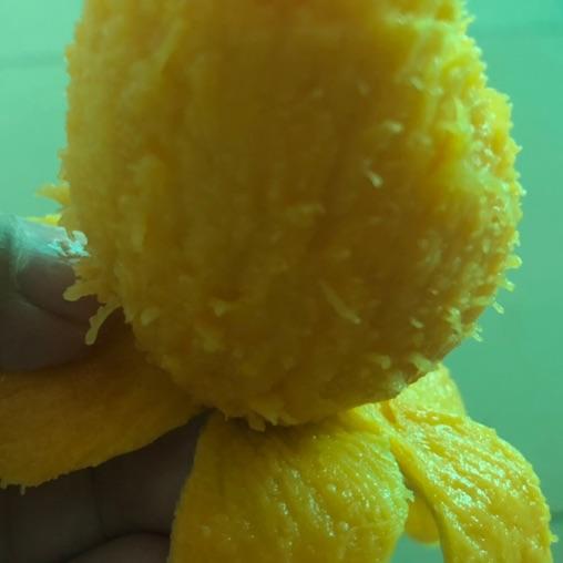 部落长期招12本起