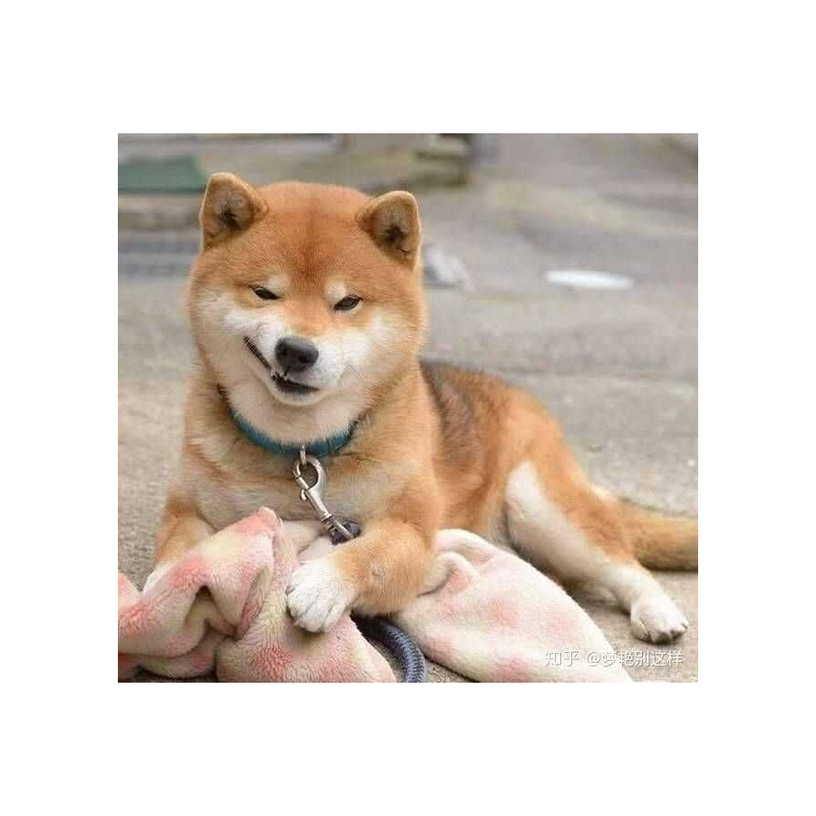 好运来