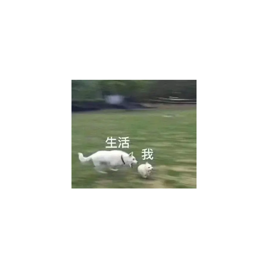 阿德莱德基