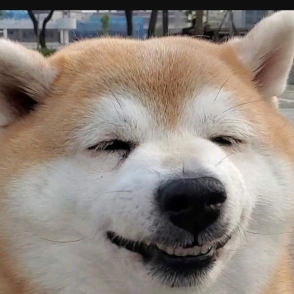 聖寵