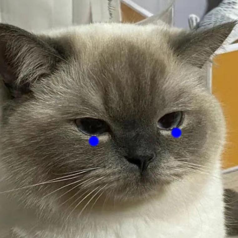火锅🐈