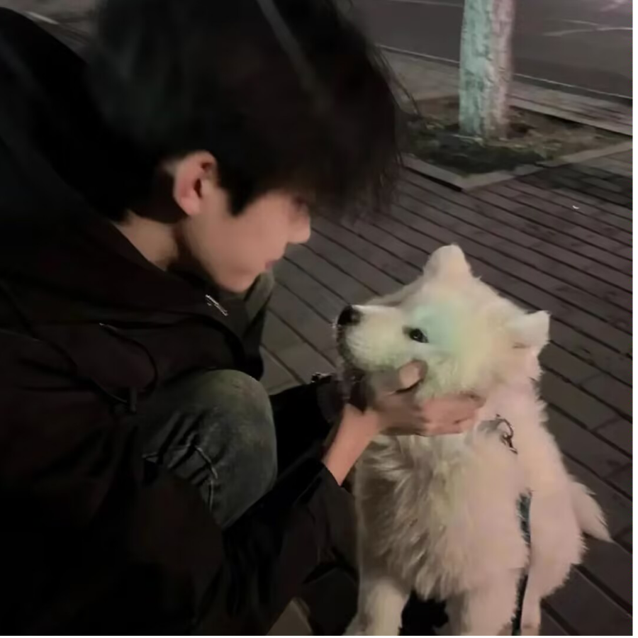 友宇