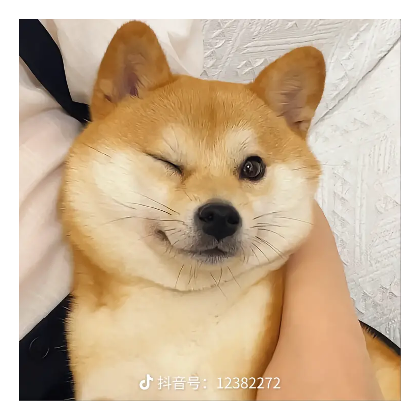 墨小羽