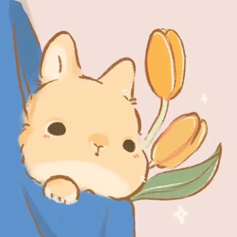 杨 不起