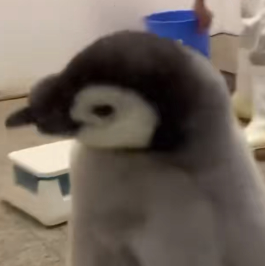 氷鹤