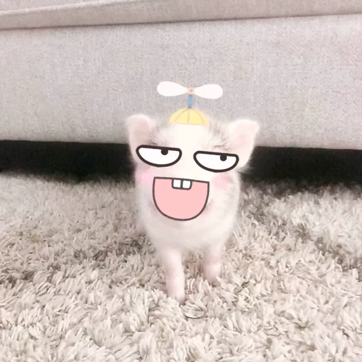 琳琳