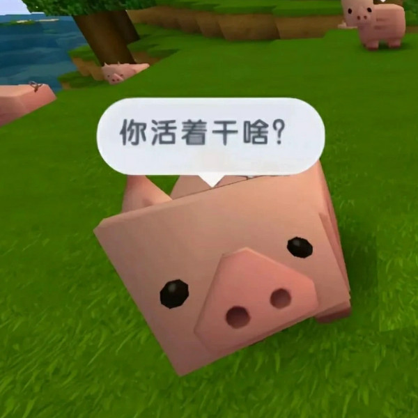 我是兔娘的狗🐶
