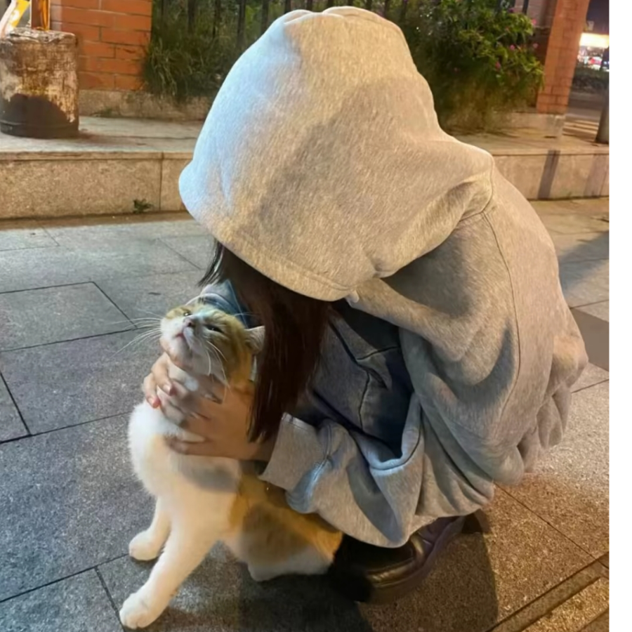 绪绐