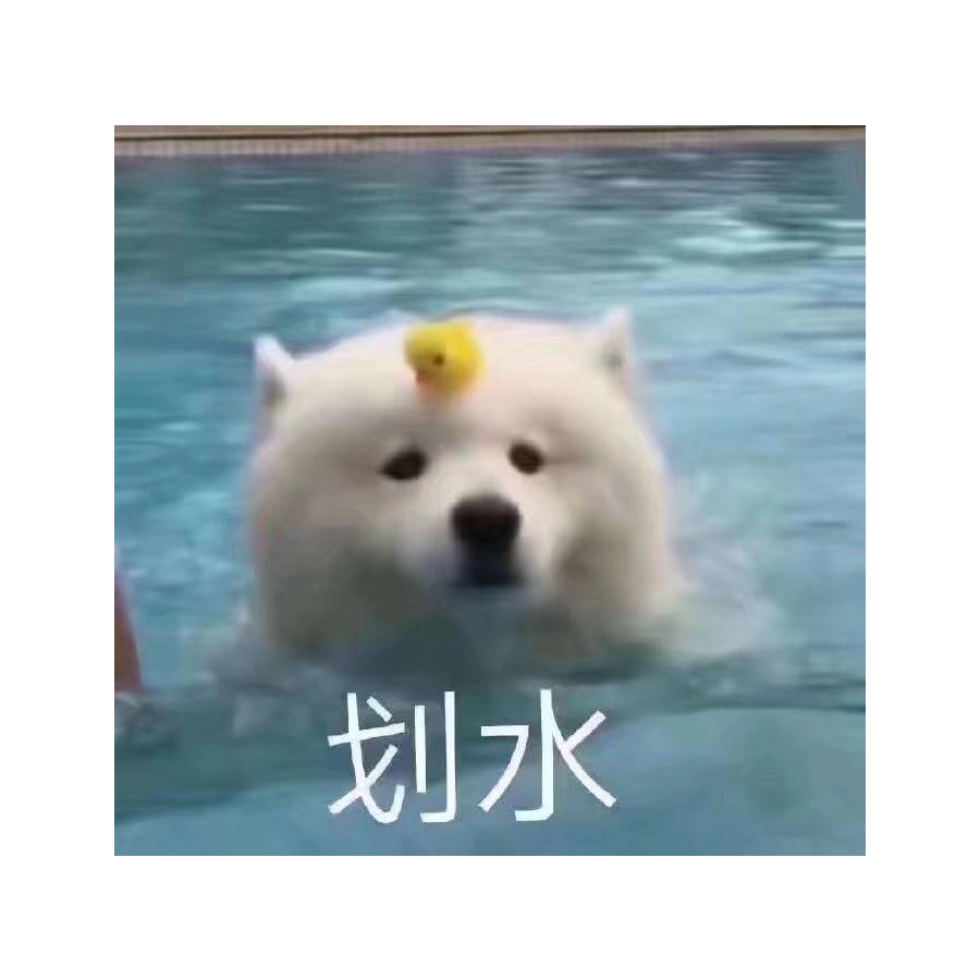 🌟🌟
