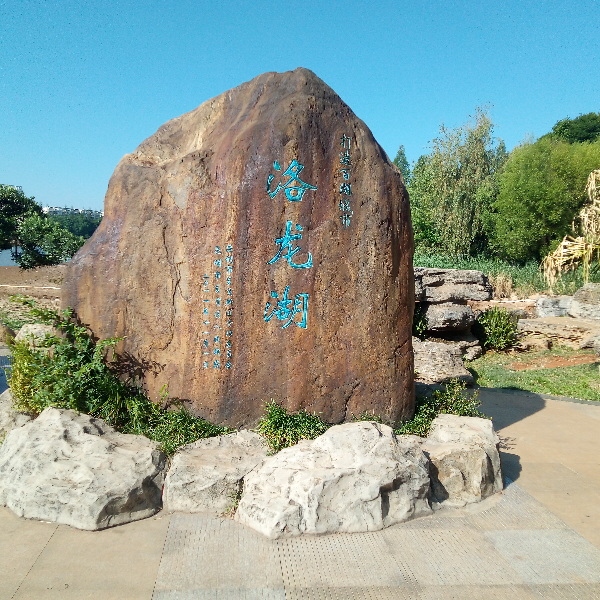标哥带你飞