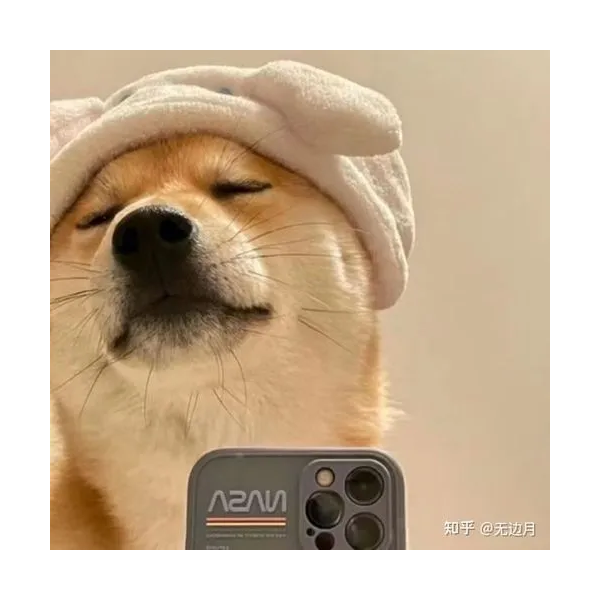 衷看