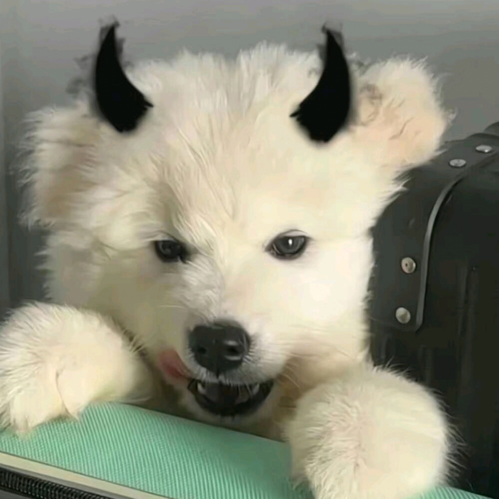 叫我懒大王