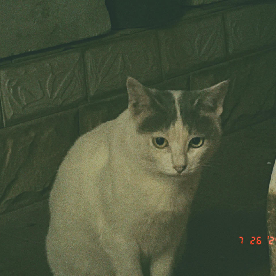 17岁ヽ(ー_ー )ノ