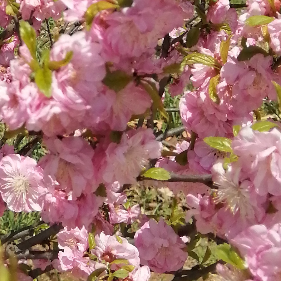 手机用户99620759