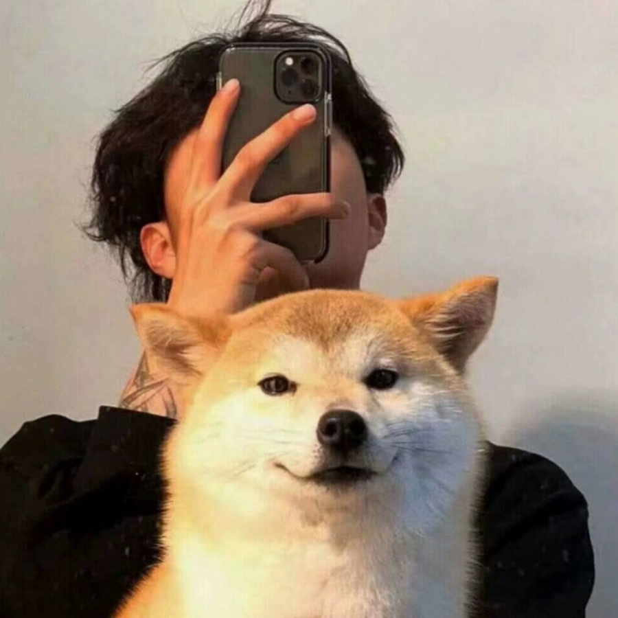 都说相思苦.