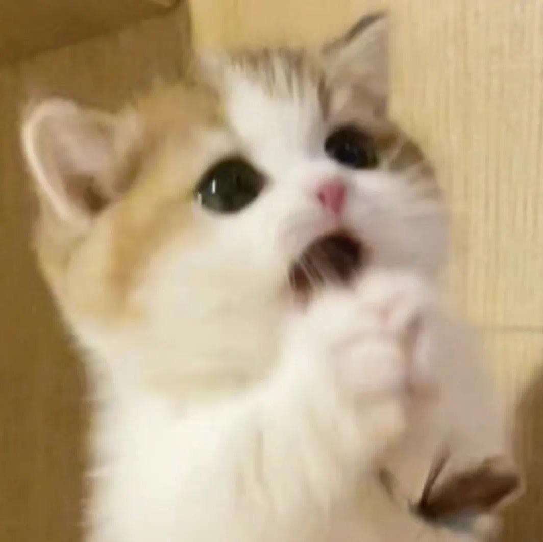 CIKI