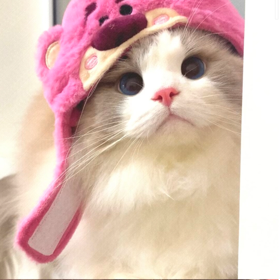 阿鱼
