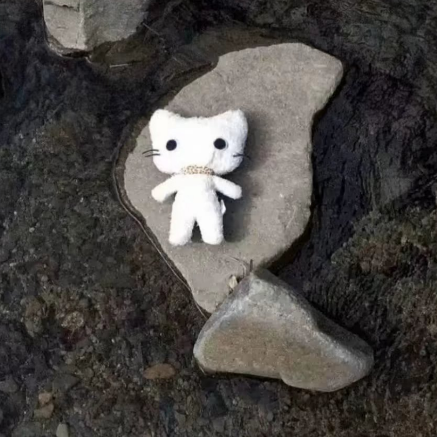 痛诉T^T