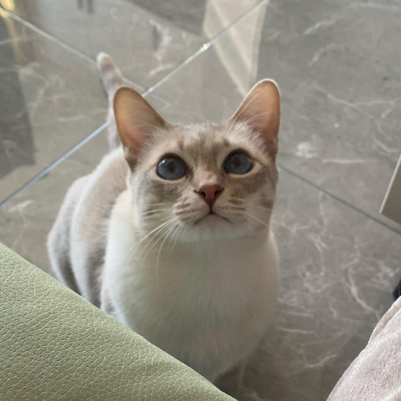 元气满满的经纪人