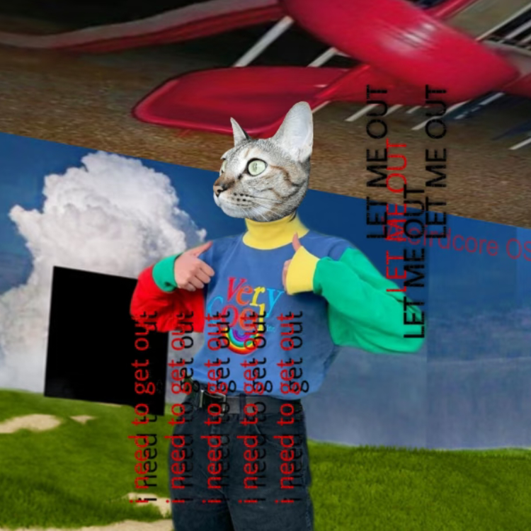 Sᴘʀᴀʏ水花🫶