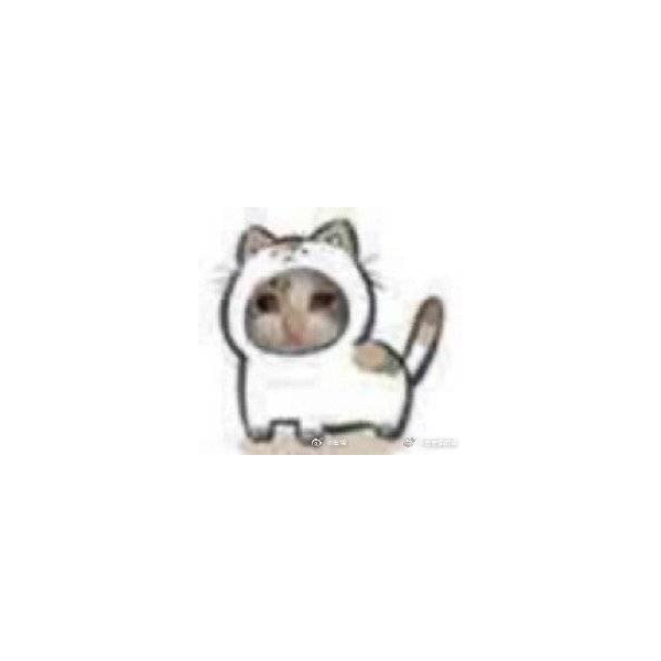 (_ _)