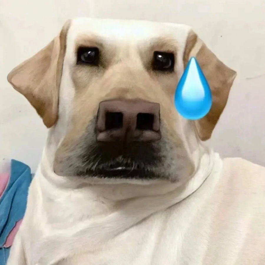 求求了求求了www