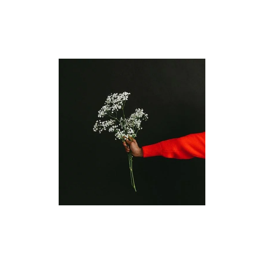 一朵花花一朵