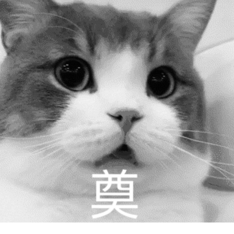 想和猫猫去看海