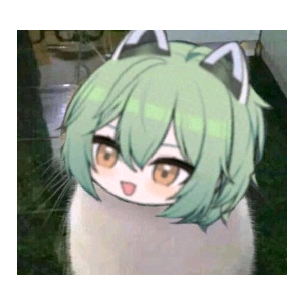 三幻小猫猫