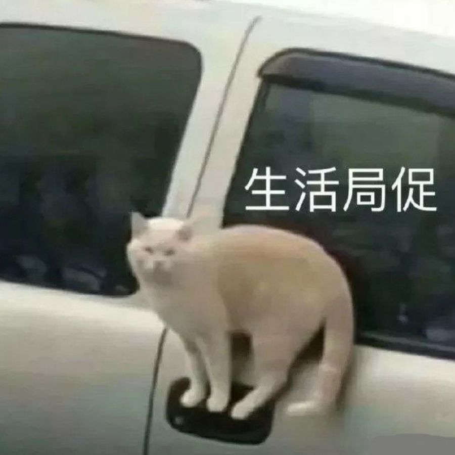 伊雷玛