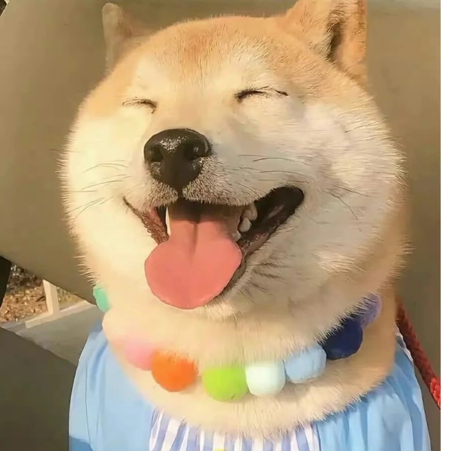 山城的少年