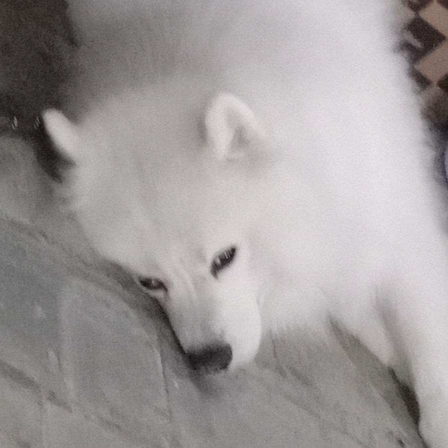 U ´꓃ ` U
