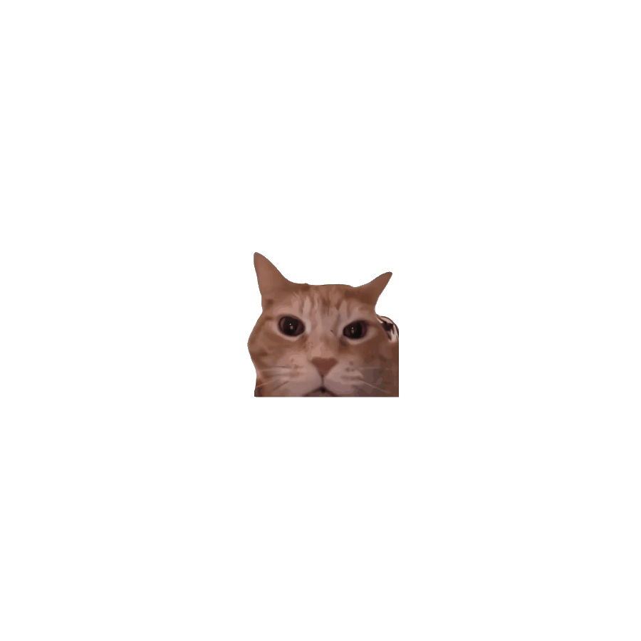 uuy