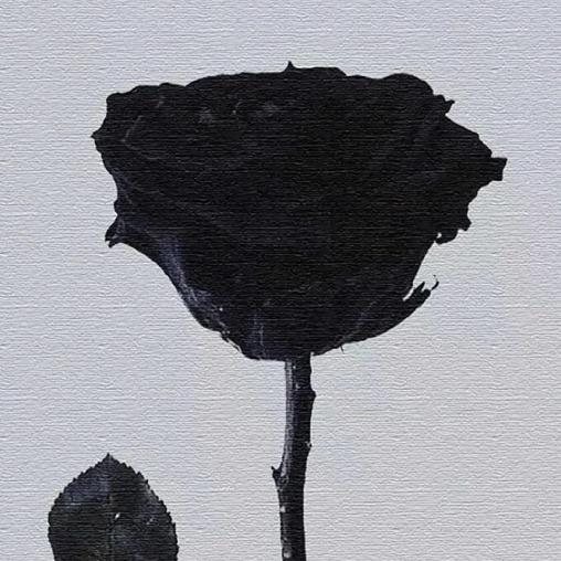 放纵