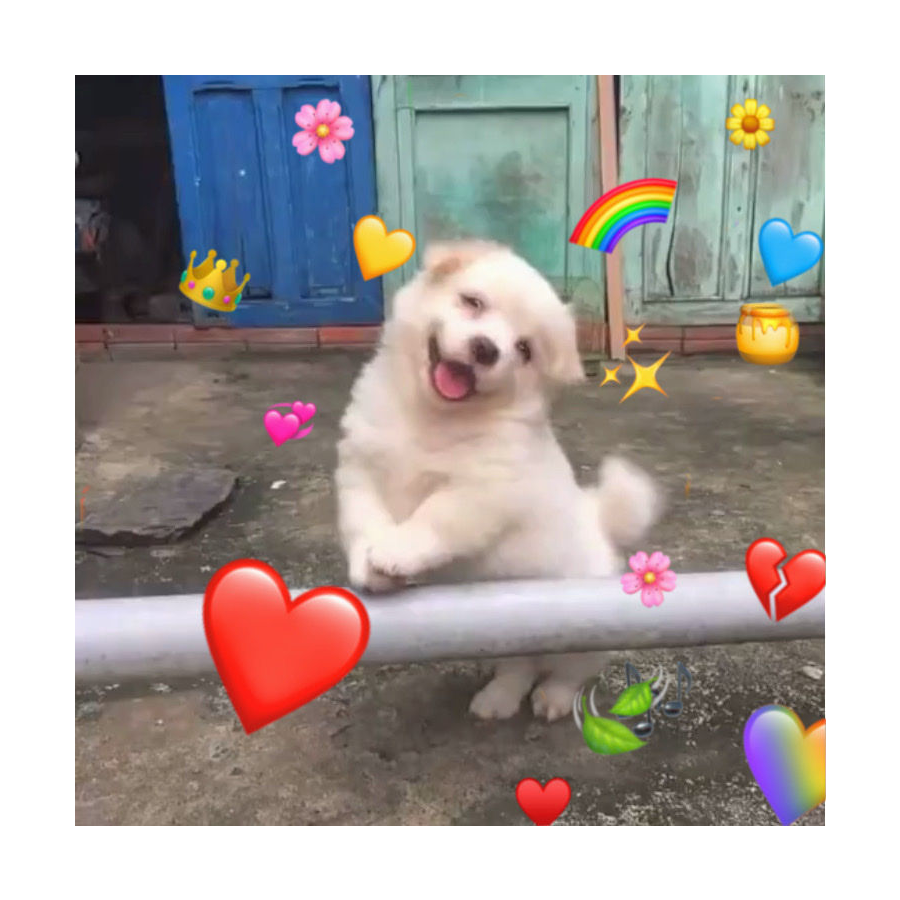 【小小怪下士】🍂