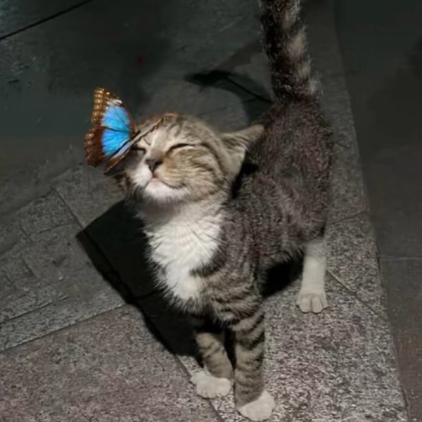诵棠
