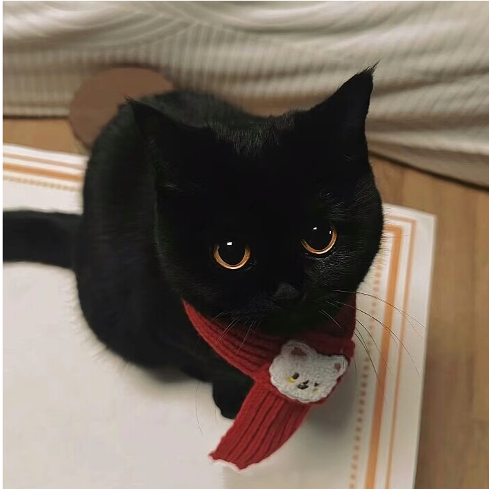 开心果元