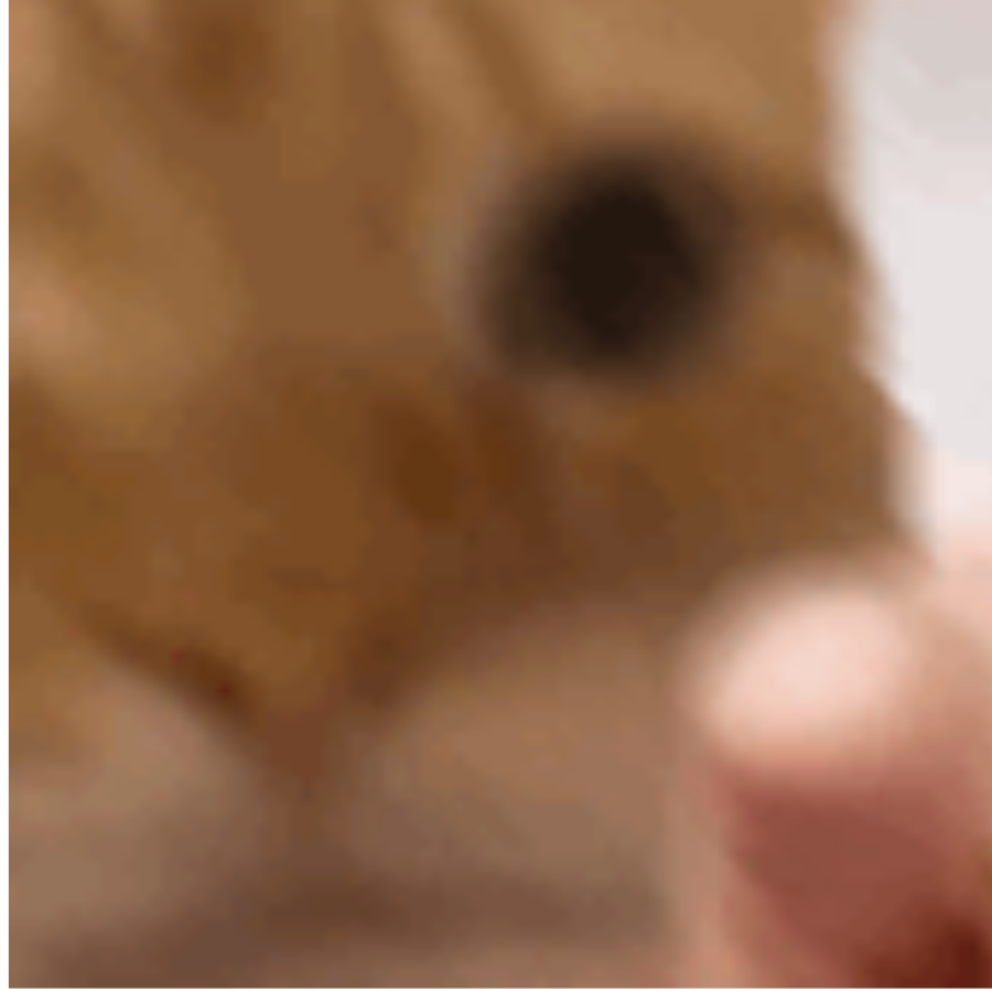 渴望占到便宜的白痴